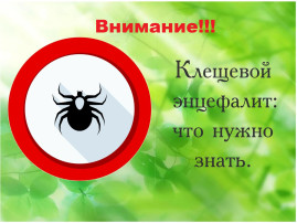 Горячая линия Роспотребнадзора Горячая линия Роспотребнадзора.